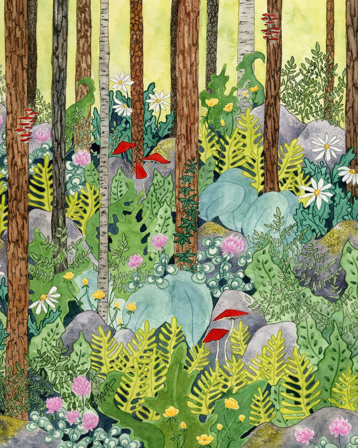 Summer Forest in Pennsylvania