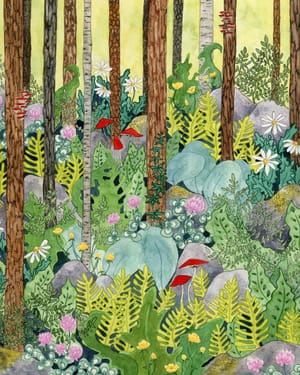Summer Forest in Pennsylvania